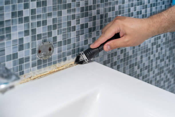 Office Mold Removal Services in Wymore, NE